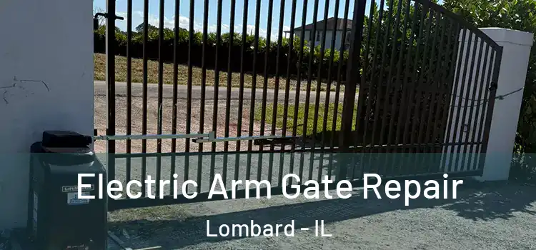 Electric Arm Gate Repair Lombard - IL
