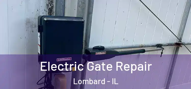 Electric Gate Repair Lombard - IL