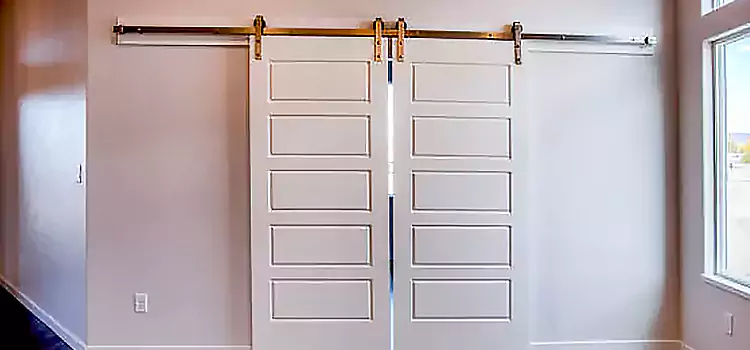 Glass Barn Door with Installation Hardware Kit Lombard