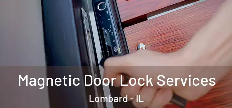 Magnetic Door Lock Services Lombard - IL