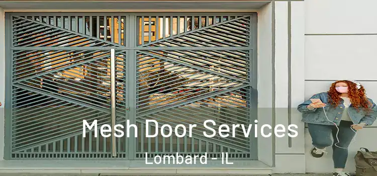 Mesh Door Services Lombard - IL